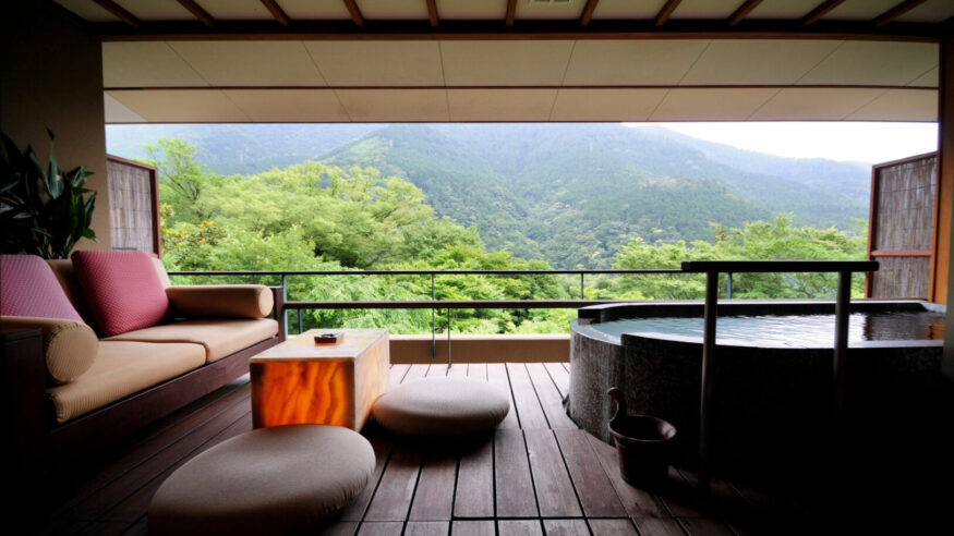 View from Hakone Ginyu 