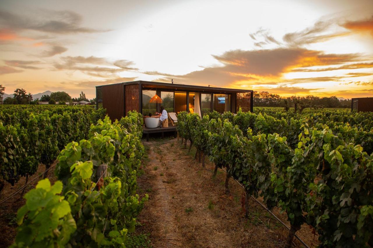 international culinary travel: Luxury Cabin in Vineyard