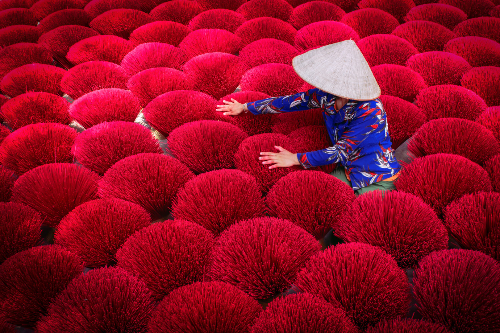 off the beaten path places to travel: Incense sticks drying outdoor with Vietnamese woman wearing conical hat in north of Vietnam