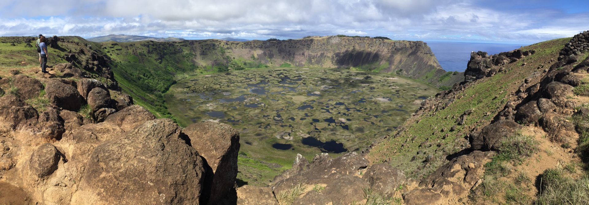 (photo credit Alison Adams)