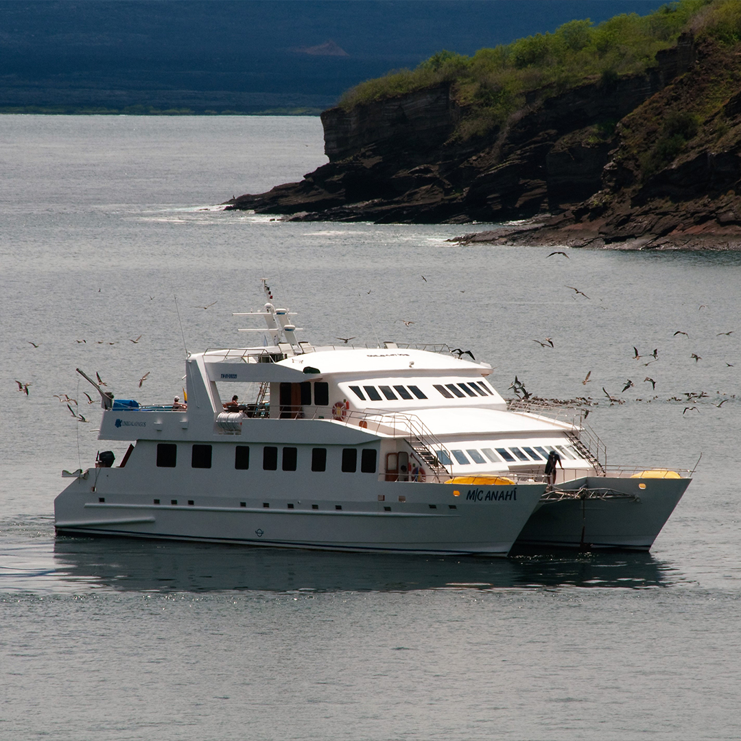 <br />
<b>Warning</b>:  Undefined variable $vessel_title in <b>/home/vayaques/dev.vaya.quest/wp-content/themes/vaya-3.0-child/page-destination-charters.php</b> on line <b>92</b><br />
