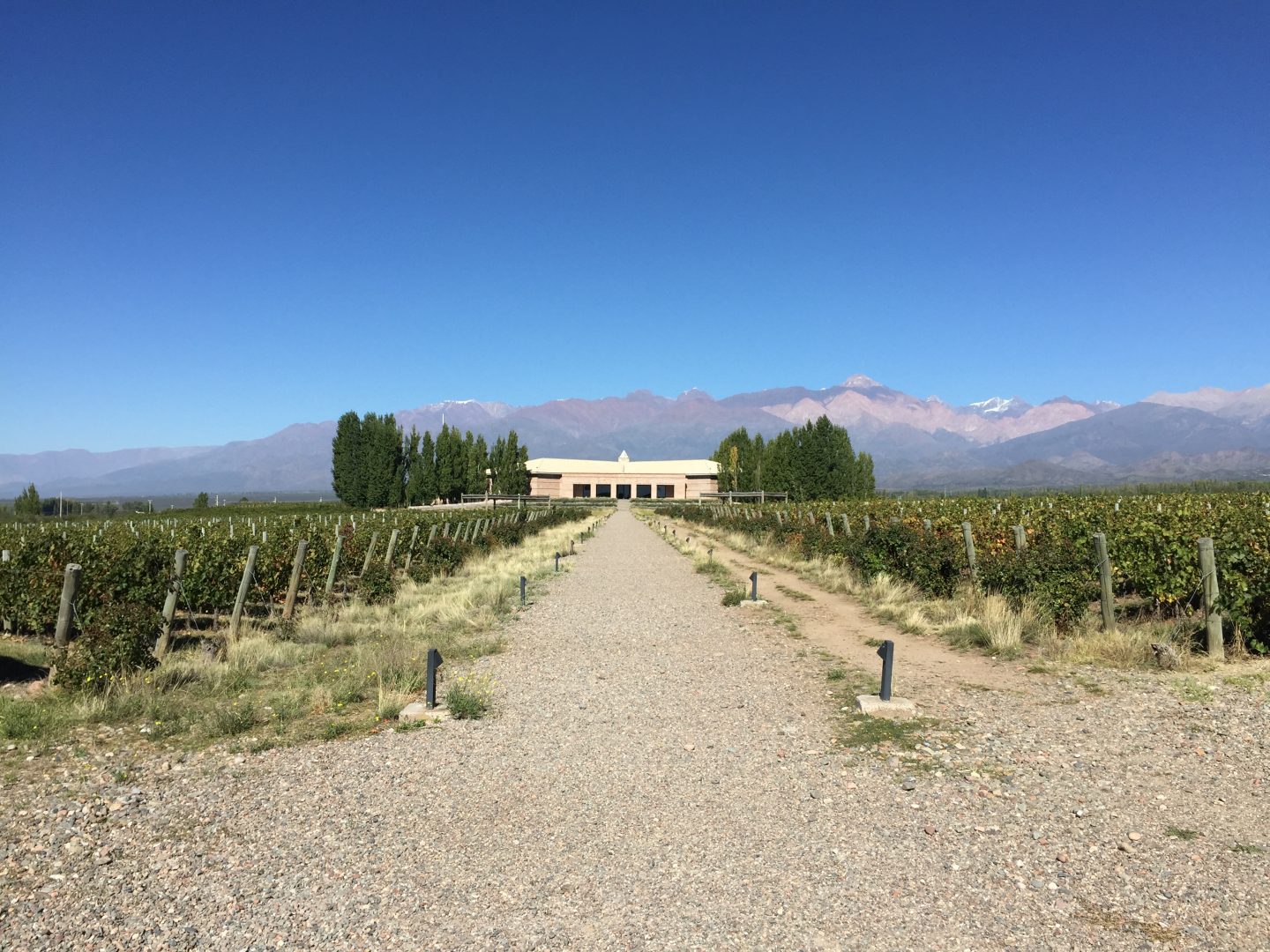 <br />
<b>Warning</b>:  Undefined variable $itinerary_title in <b>/home/vayaques/dev.vaya.quest/wp-content/themes/vaya-3.0-child/page-accommodation.php</b> on line <b>129</b><br />
