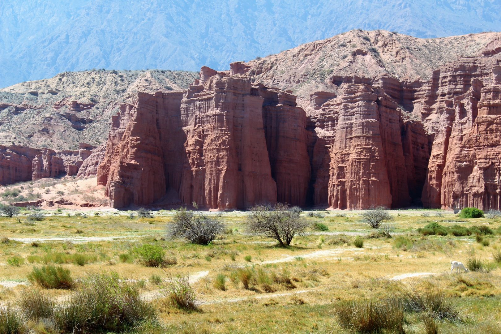 <br />
<b>Warning</b>:  Undefined variable $itinerary_title in <b>/home/vayaques/dev.vaya.quest/wp-content/themes/vaya-3.0-child/page-accommodation.php</b> on line <b>129</b><br />
