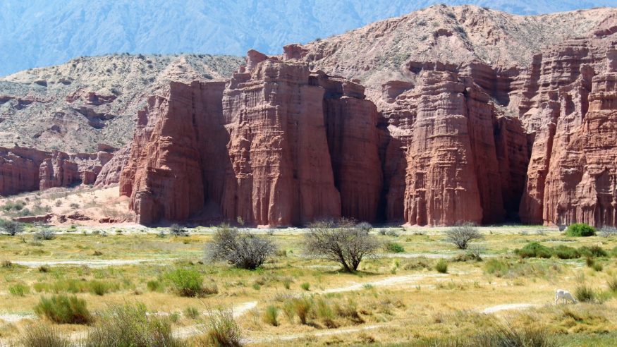 Argentina - Cafayate