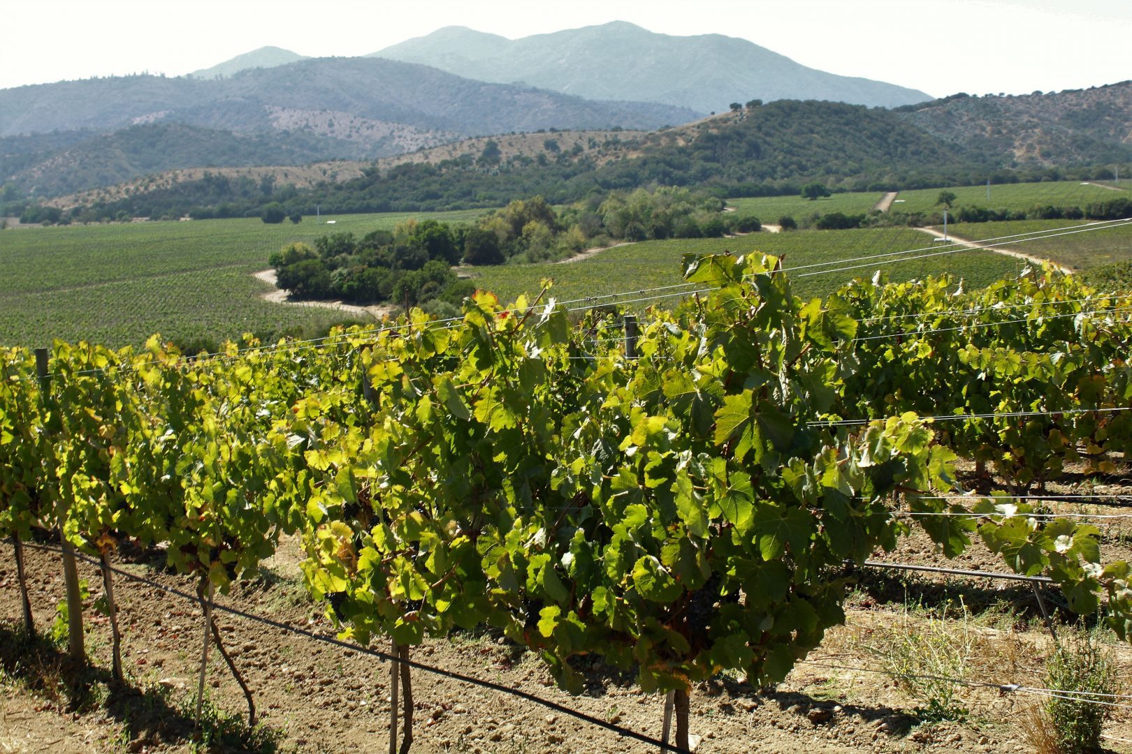 <br />
<b>Warning</b>:  Undefined variable $itinerary_title in <b>/home/vayaques/dev.vaya.quest/wp-content/themes/vaya-3.0-child/page-accommodation.php</b> on line <b>129</b><br />
