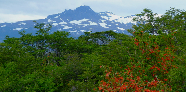 Thoughtfully designed excursions