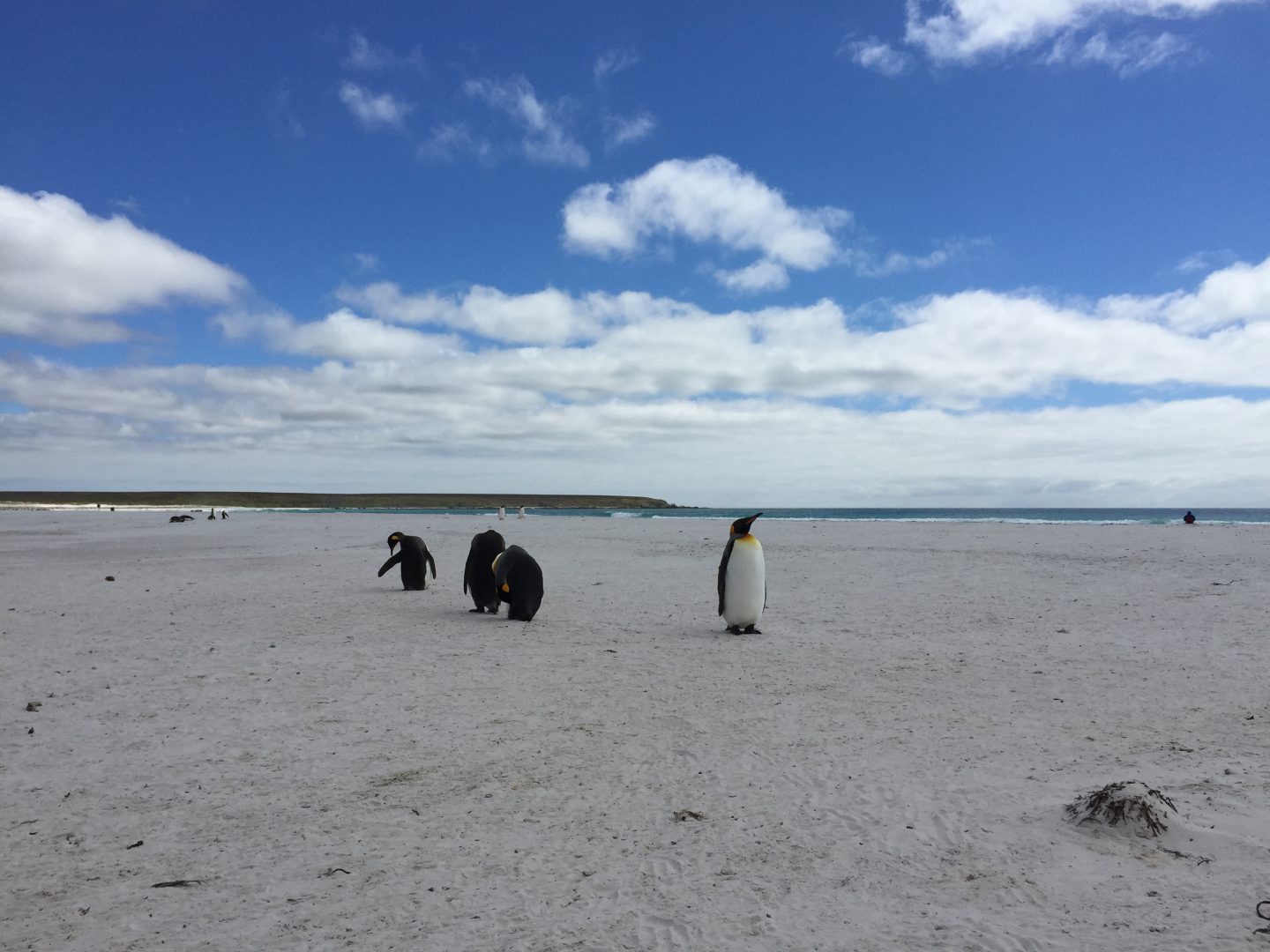 <br />
<b>Warning</b>:  Undefined variable $itinerary_title in <b>/home/vayaques/dev.vaya.quest/wp-content/themes/vaya-3.0-child/page-accommodation.php</b> on line <b>129</b><br />
