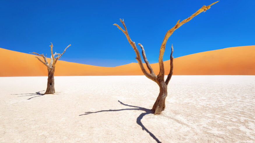 Dead Vlei in Naukluft National Park, Namibia, taken in January 2018