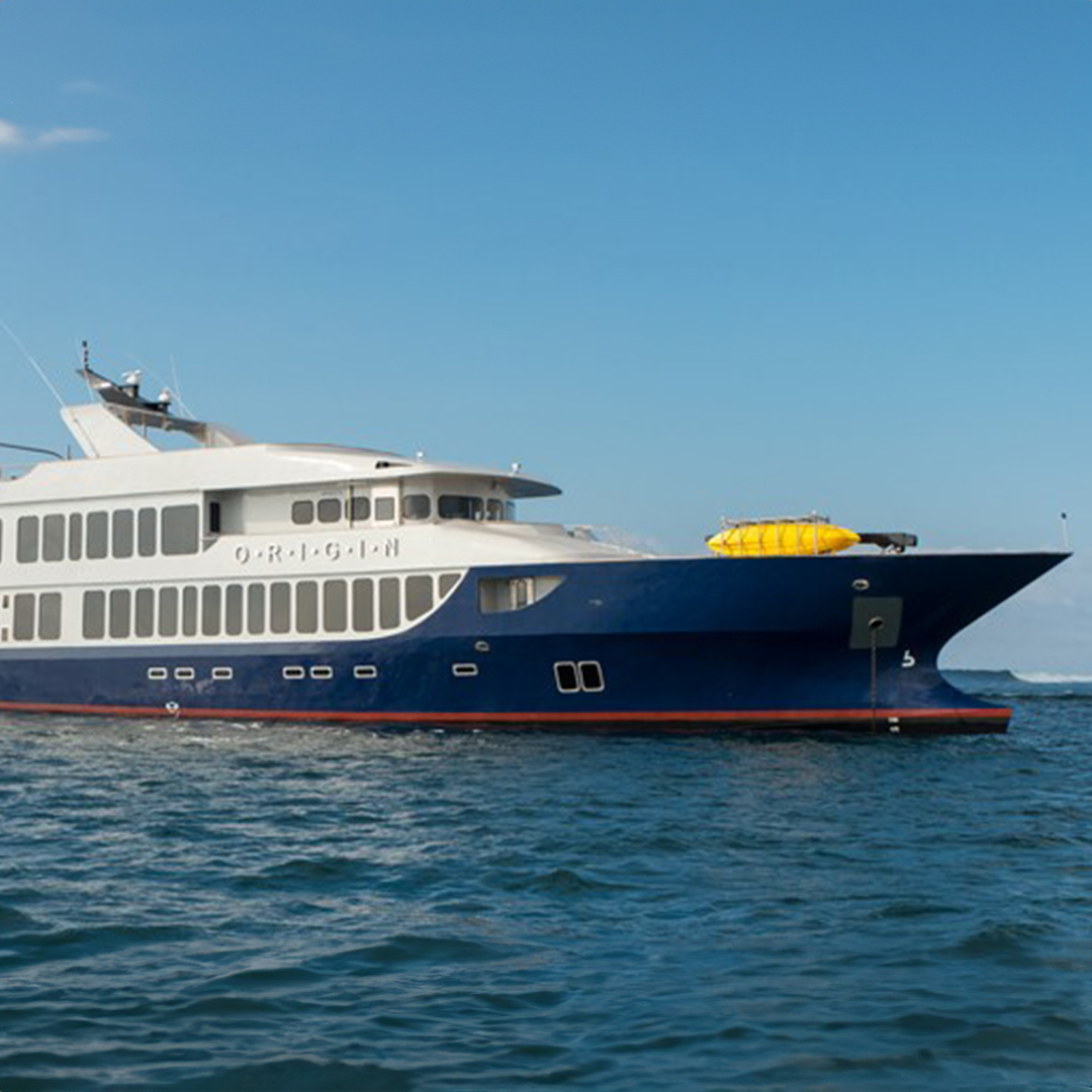 <br />
<b>Warning</b>:  Undefined variable $vessel_title in <b>/home/vayaques/dev.vaya.quest/wp-content/themes/vaya-3.0-child/page-destination-charters.php</b> on line <b>92</b><br />
