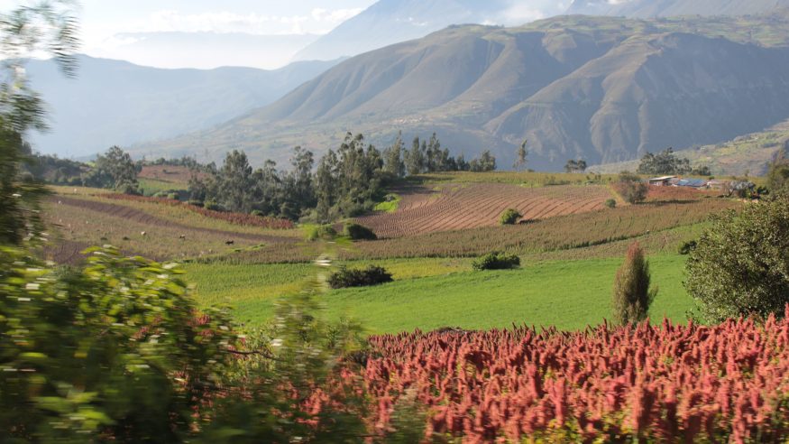 Peru - Cordillera Blanca
