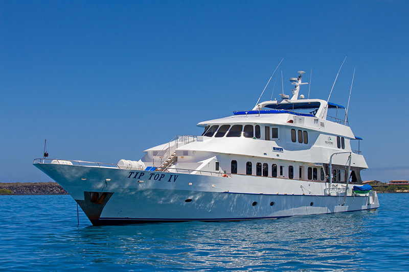 <br />
<b>Warning</b>:  Undefined variable $vessel_title in <b>/home/vayaques/dev.vaya.quest/wp-content/themes/vaya-3.0-child/page-destination-charters.php</b> on line <b>92</b><br />
