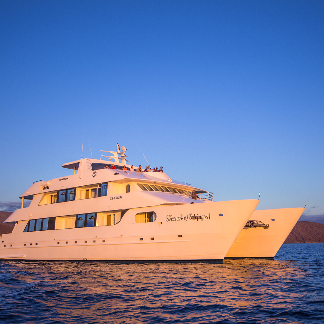 <br />
<b>Warning</b>:  Undefined variable $vessel_title in <b>/home/vayaques/dev.vaya.quest/wp-content/themes/vaya-3.0-child/page-destination-charters.php</b> on line <b>92</b><br />
