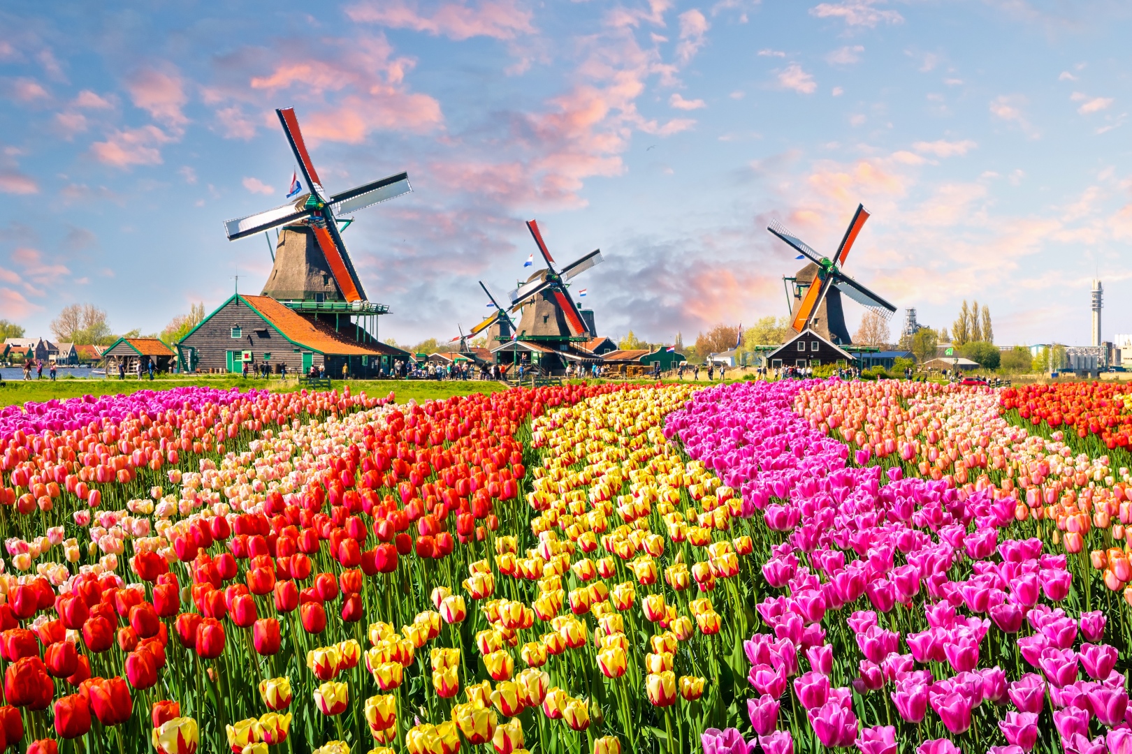 <br />
<b>Warning</b>:  Undefined variable $itinerary_title in <b>/home/vayaques/dev.vaya.quest/wp-content/themes/vaya-3.0-child/page-accommodation.php</b> on line <b>129</b><br />
