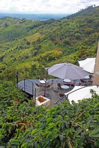 View from San Alberto