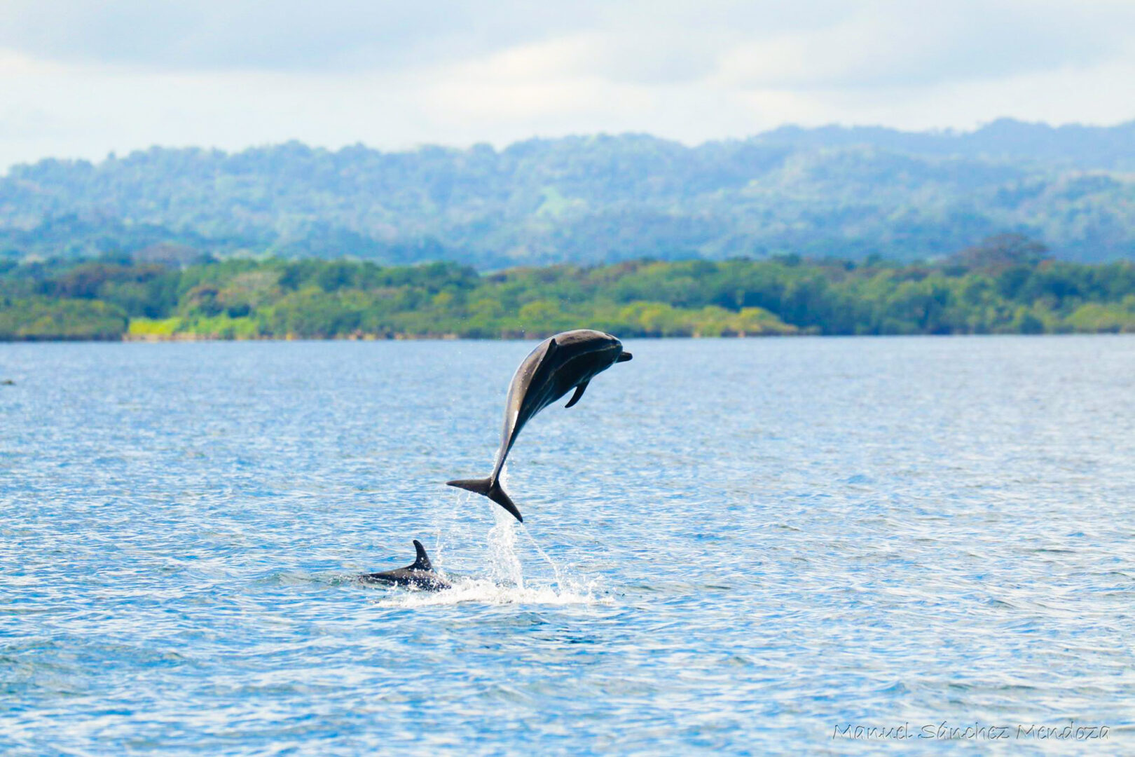 small boat cruises: Costa Rica Spinner Dolphin jumping out of the sea.