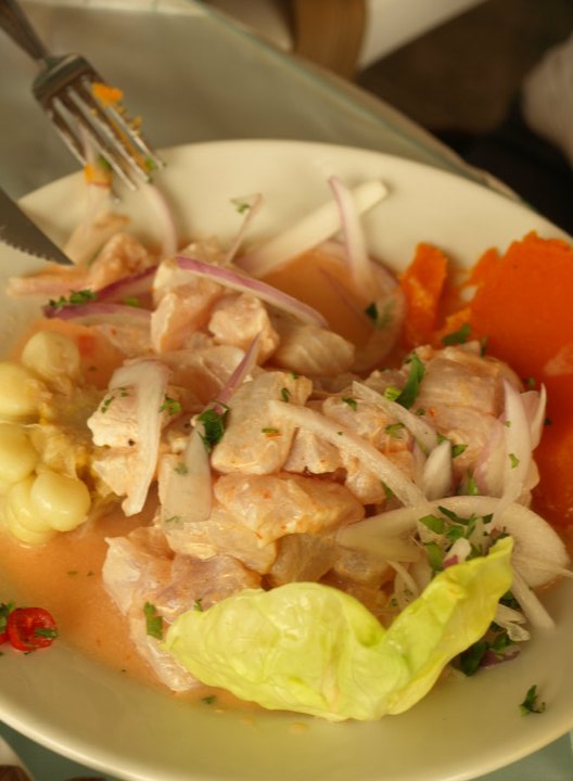 ceviche in peru - peru & machu picchu tours - vaya adventures