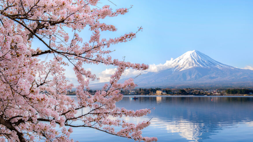 Mount Fuji from Hakone 