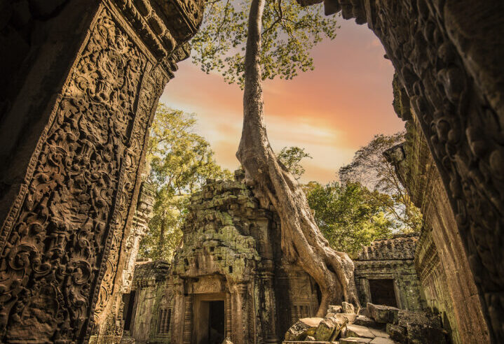 (Selective focus) Stunning view of the Ta Prohm temple with a big old tree. Ta Prohm is the modern name of the temple in Siem Reap, Cambodia.