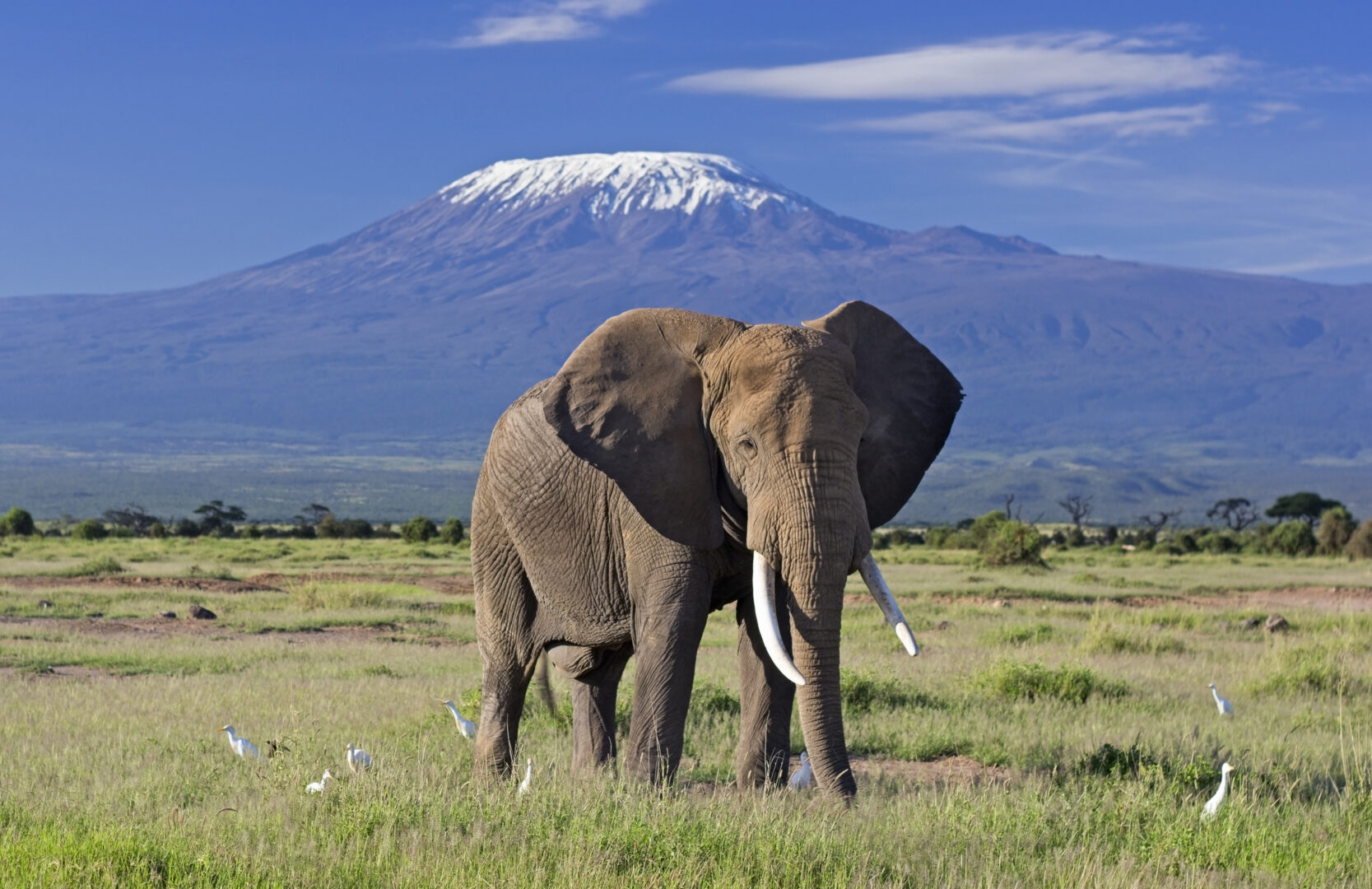 <br />
<b>Warning</b>:  Undefined variable $itinerary_title in <b>/home/vayaques/dev.vaya.quest/wp-content/themes/vaya-3.0-child/page-accommodation.php</b> on line <b>129</b><br />
