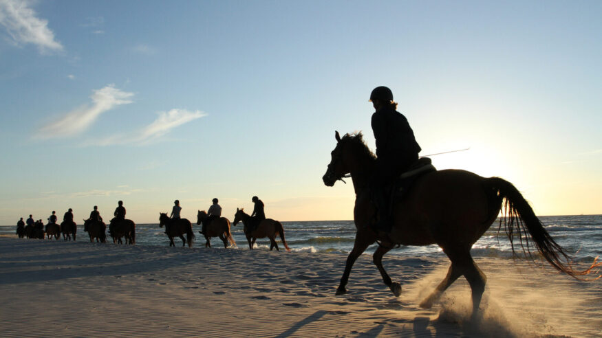Horse riding on beach