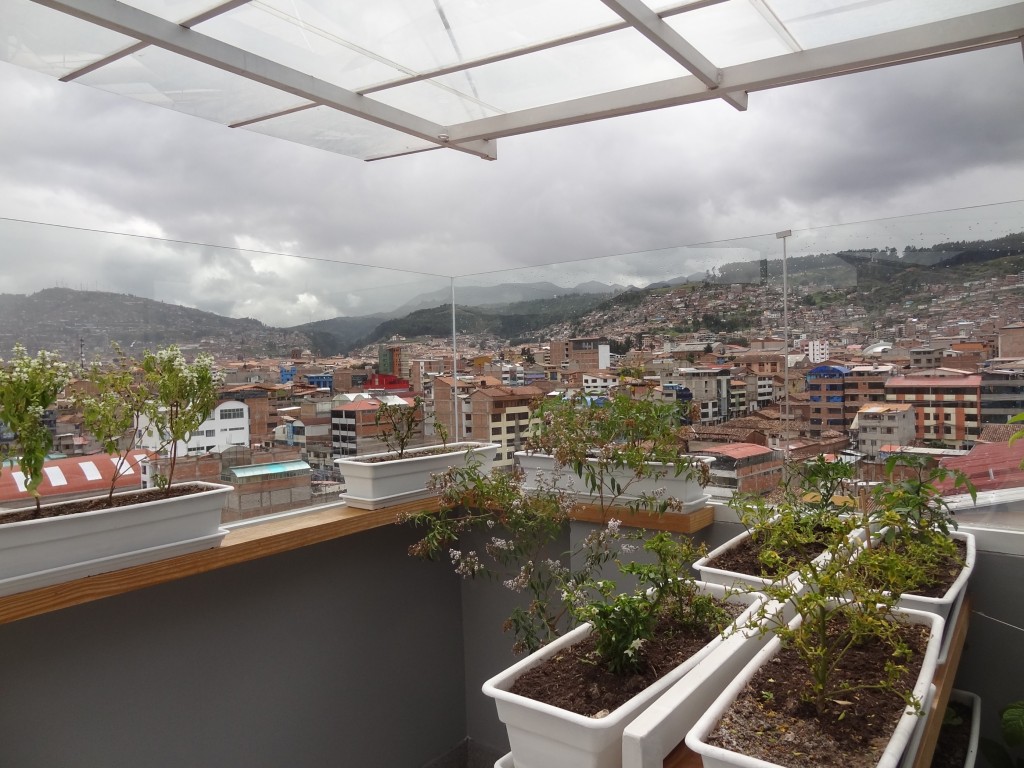 View from the rooftop kitchen